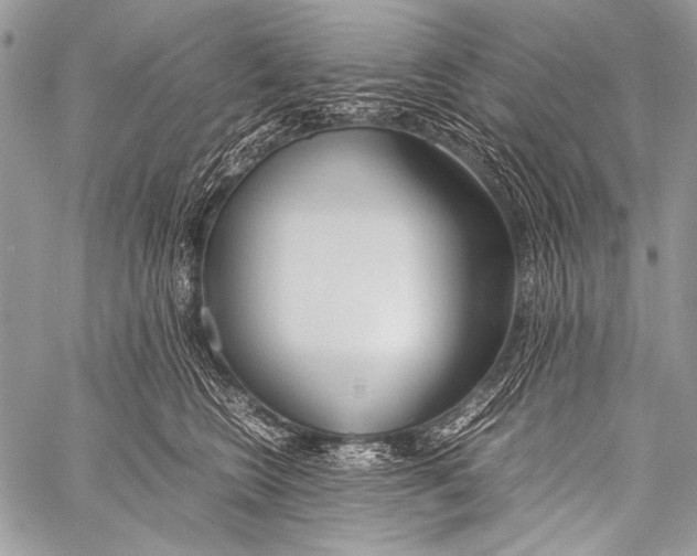 X0000057560566200510141351