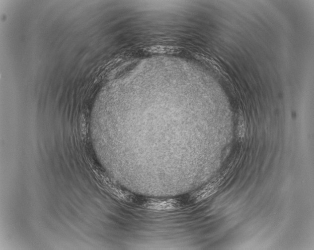 X0000057560569200510141351