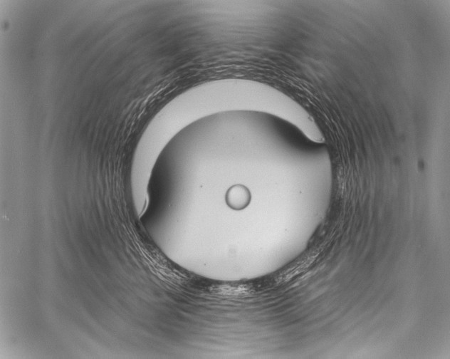 X0000057560570200510141351