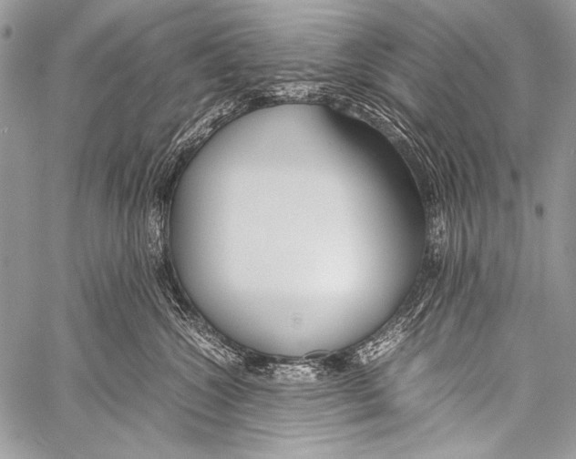 X0000057560572200510141351