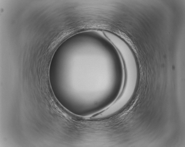 X0000057560577200510141351