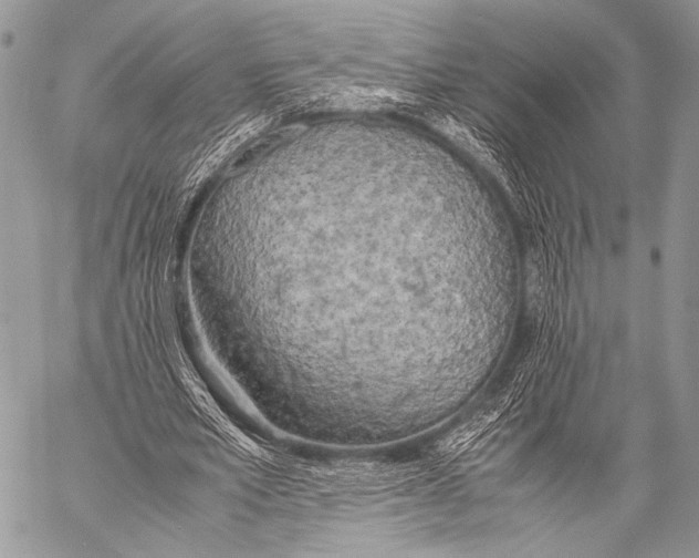 X0000057560581200510141351
