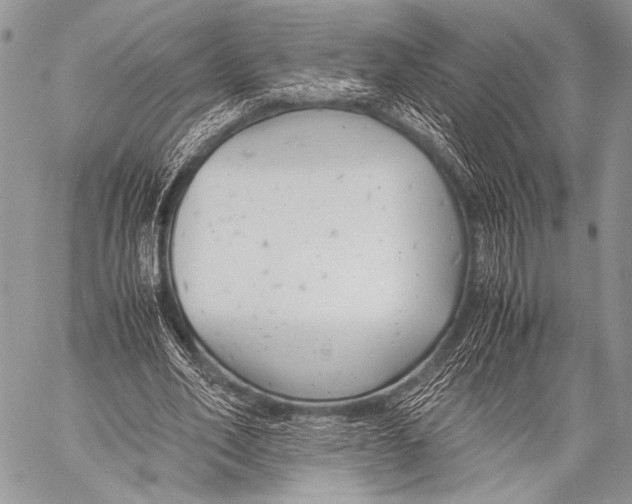 X0000057560582200510141351