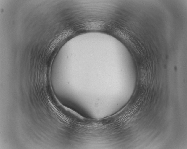 X0000057560586200510141351