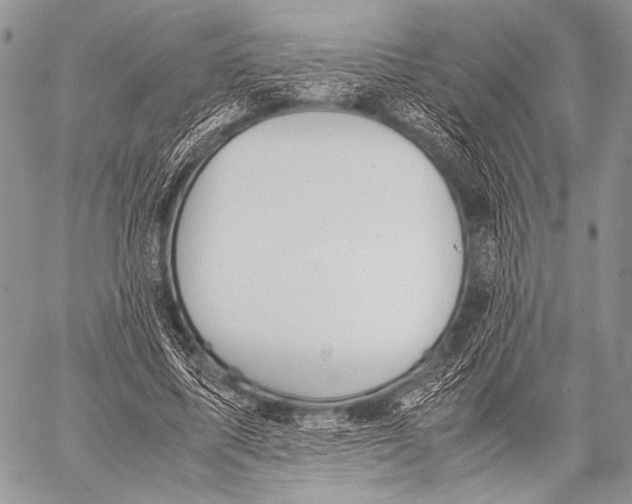 X0000057560587200510141351