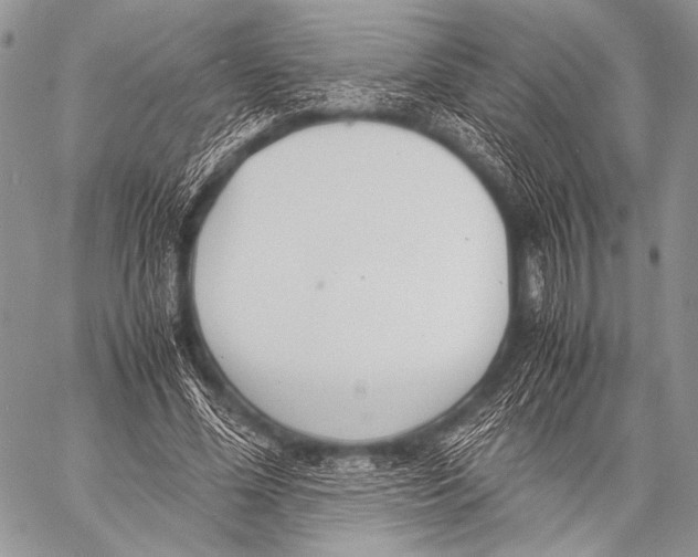 X0000057560588200510141351