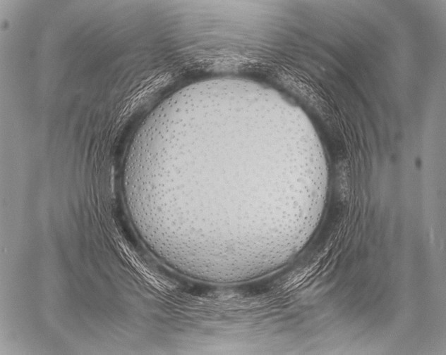 X0000057560589200510141350