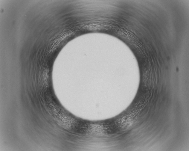 X0000057560592200510141350
