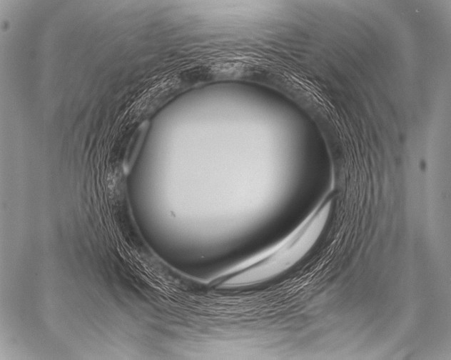 X0000057560601200510141350