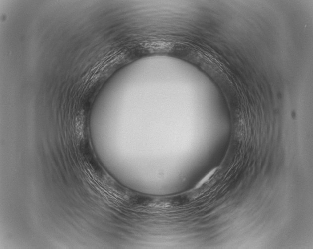 X0000057560604200510141350