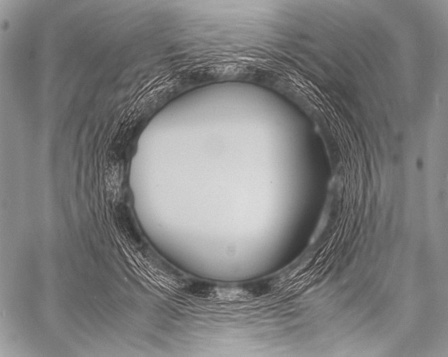 X0000057560605200510141350