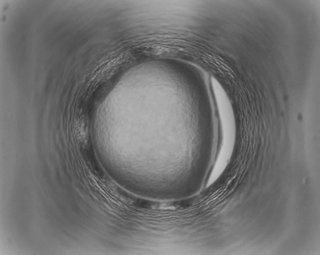 X0000057560607200510141350