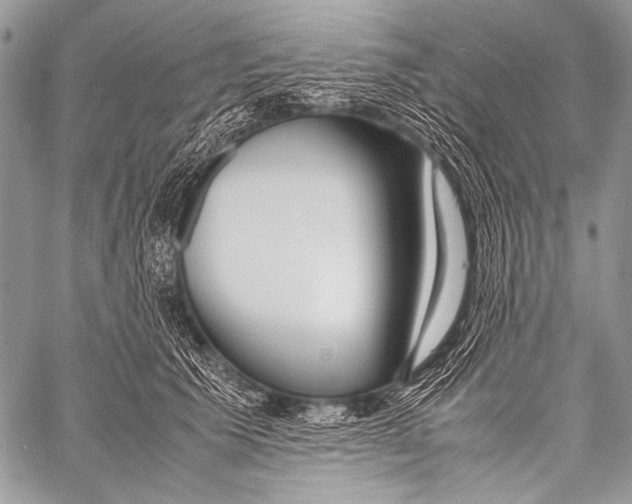 X0000057560609200510141350