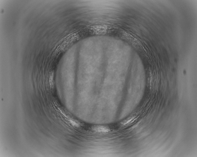 X0000057560610200510141350