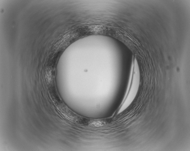 X0000057560611200510141350