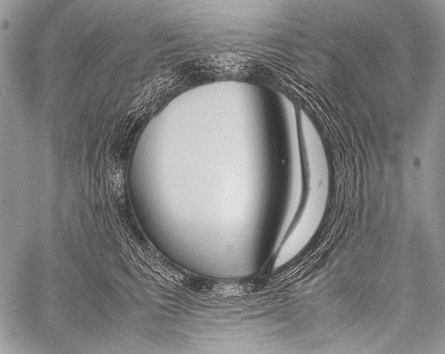 X0000057560613200510141350