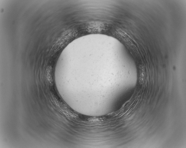 X0000057560616200510141350