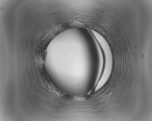 X0000057560617200510141350