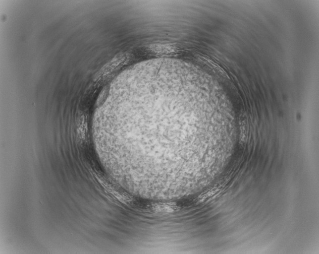 X0000057560618200510141350