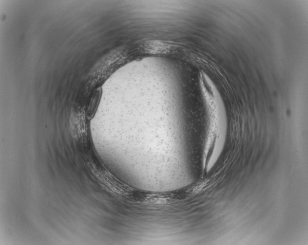 X0000057560620200510141350
