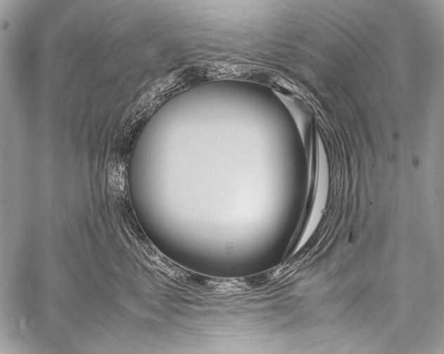 X0000057560621200510141350