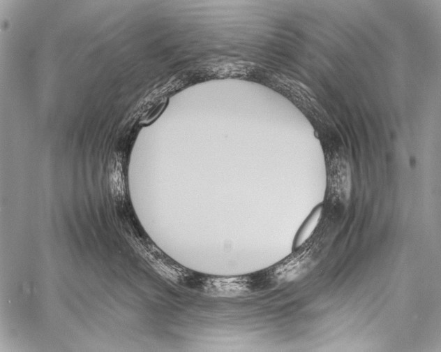 X0000057560622200510141350