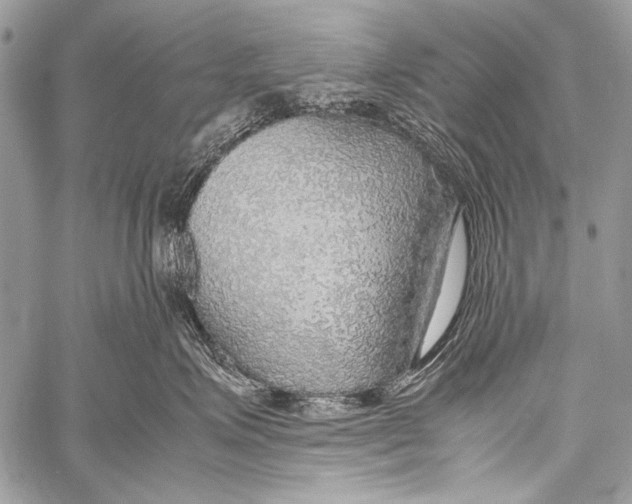 X0000057560623200510141350