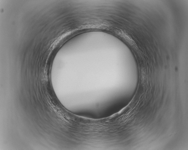 X0000057560628200510141349