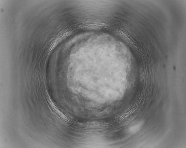 X0000057560634200510141349