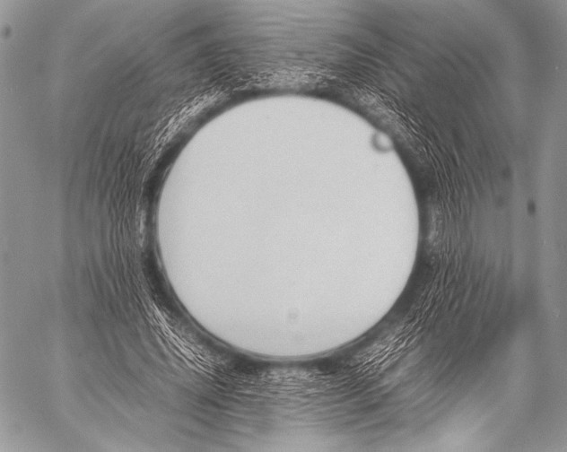 X0000057560636200510141349