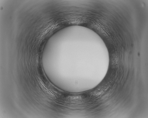 X0000057560639200510141349