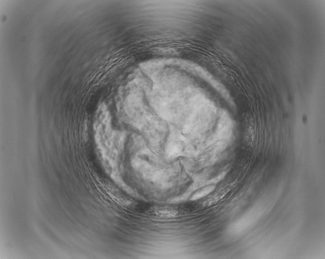 X0000057560658200510141350