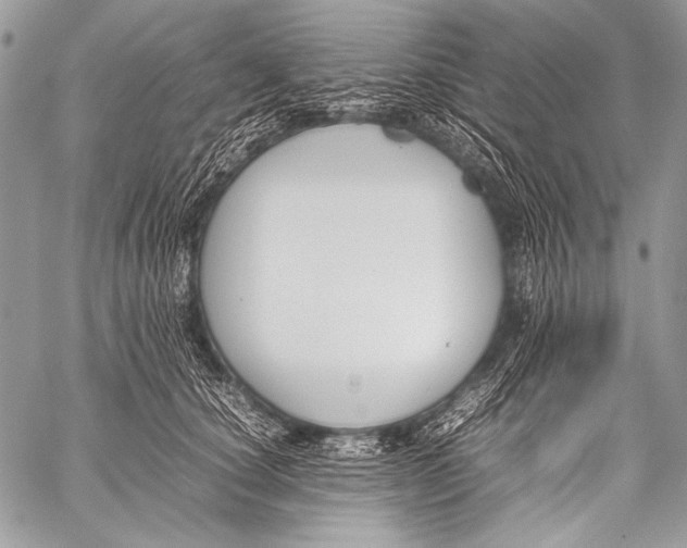X0000057560660200510141350