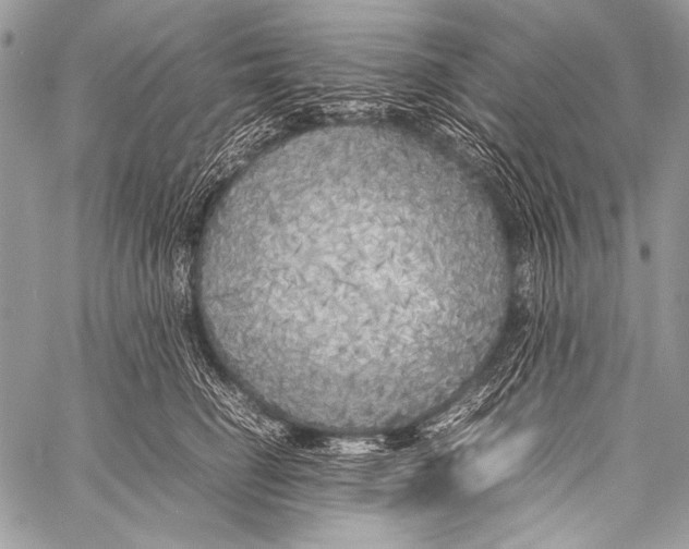 X0000057560662200510141350