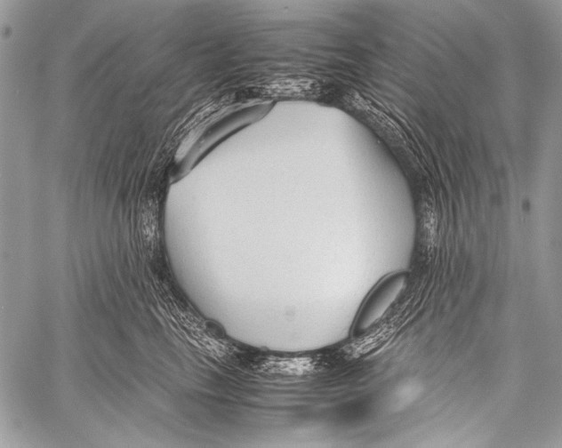 X0000057560665200510141350