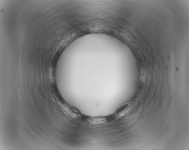X0000057560670200510141350
