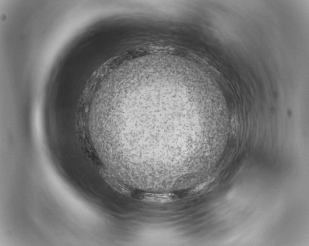 X0000057560671200510141350