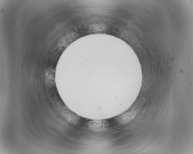 X0000057560672200510141350