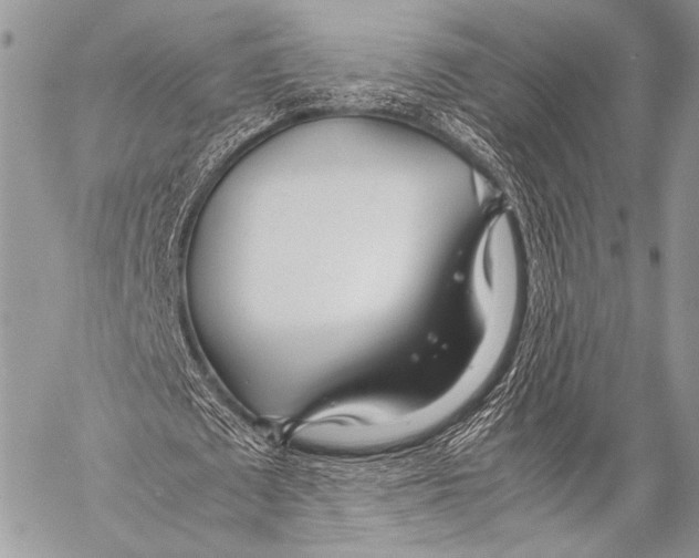 X0000057560673200510141349