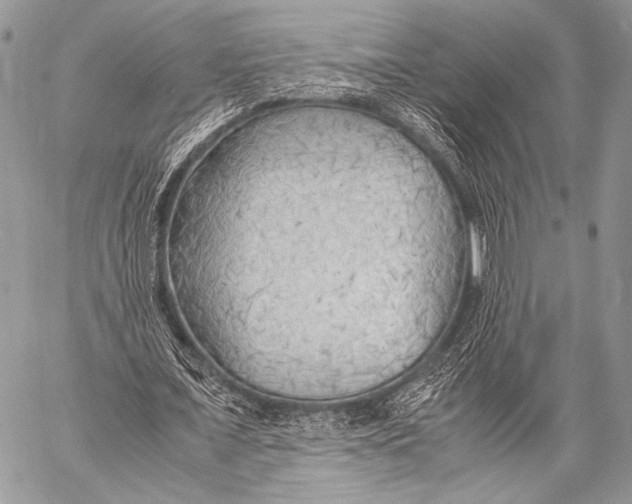 X0000057560675200510141349