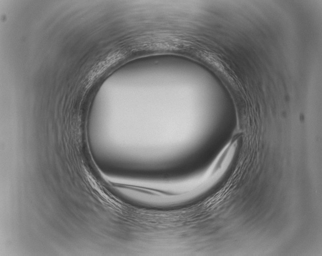X0000057560677200510141349