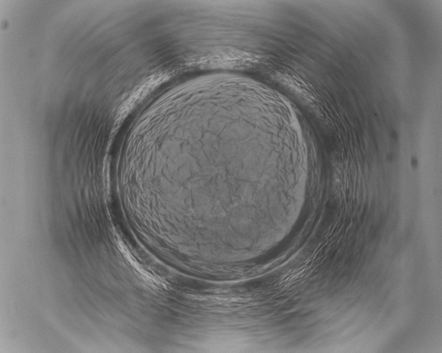 X0000057560678200510141349