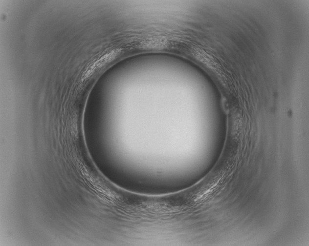 X0000057560681200510141349