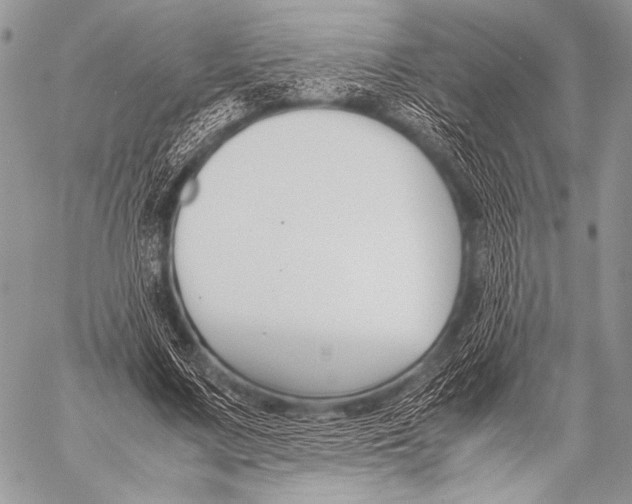 X0000057560683200510141349