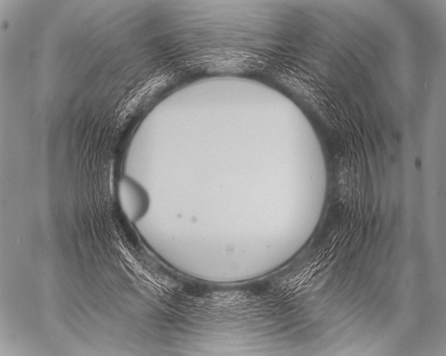 X0000057560686200510141349