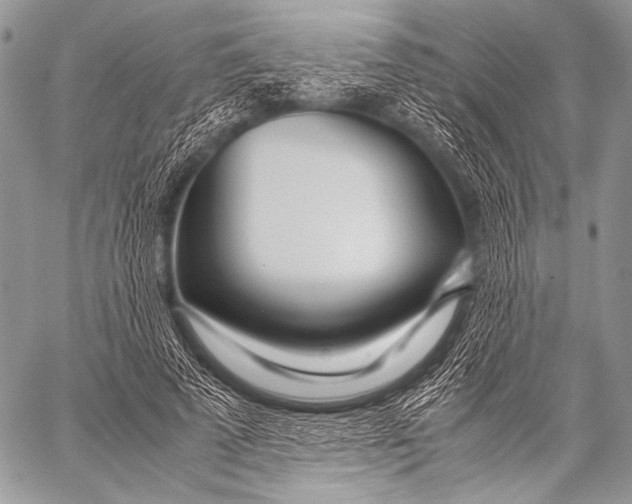 X0000057560689200510141349