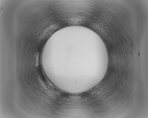 X0000057560694200510141349