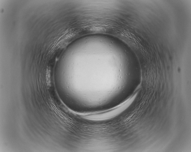 X0000057560696200510141349