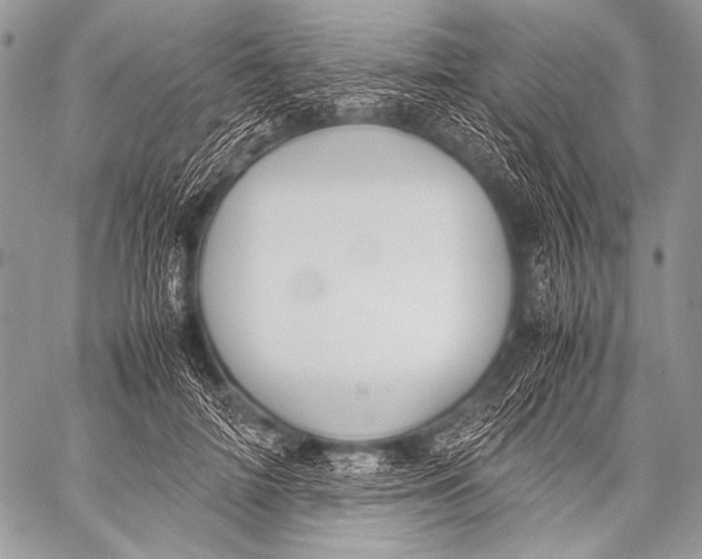 X0000057560698200510141349