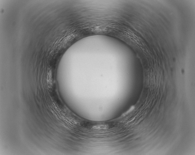 X0000057560700200510141349